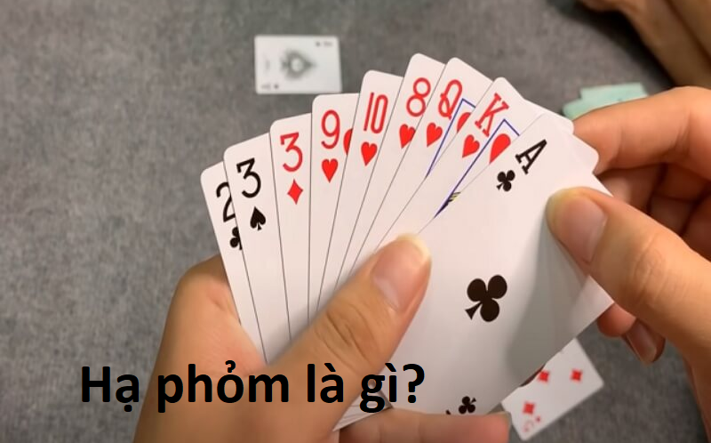 Hạ phỏm là gì luôn được quan tâm