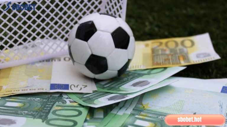 Bóng đá là bộ môn có lượng đông đảo người quan tâm cao trên toàn thế giới