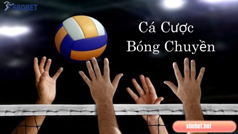 Quy trình tham gia cược bóng chuyền tại nhà cái