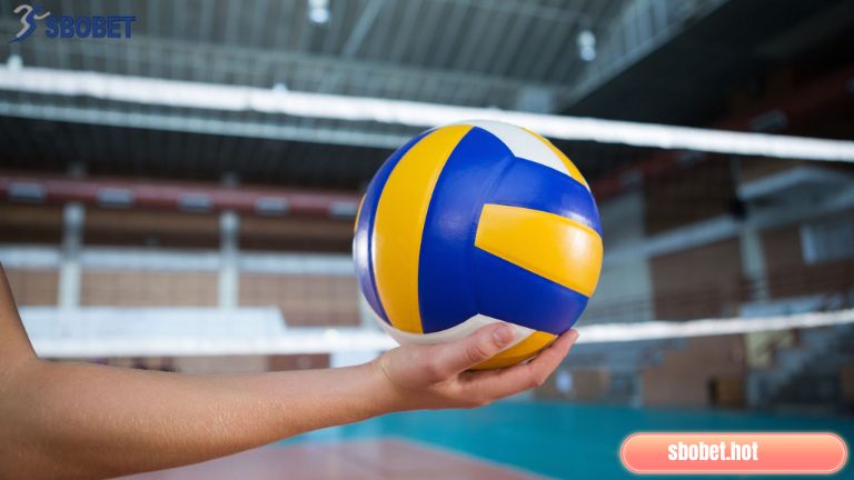 Thông tin cơ bản về bóng chuyền tại Sbobet