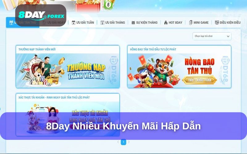 Cộng đồng người dùng và khuyến mãi 8day