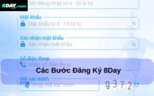 Quy trình đăng ký tài khoản 8day thành công